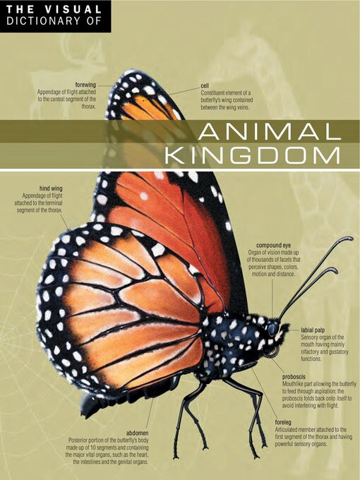 Title details for The Visual Dictionary of Animal Kingdom by Ariane Archambault - Available